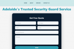  ATG Security Professional Website Development